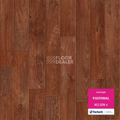 Линолеум Tarkett Pastoral NELSON 4 фото 1 | FLOORDEALER